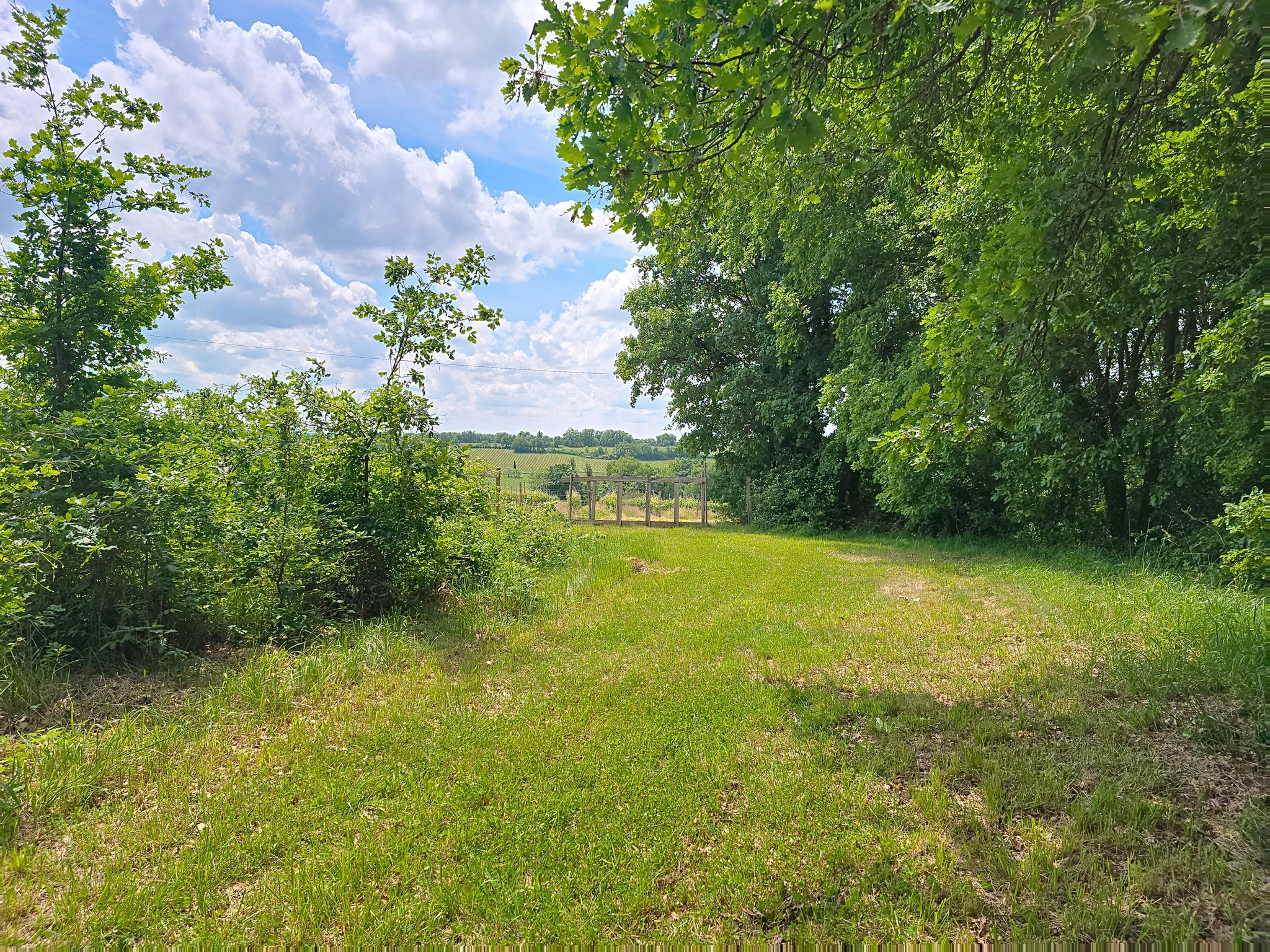 Roulotte l'âne au salon en Armagnac-Chemin d'accès à la roulotte.jpg